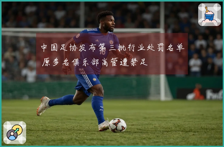 中国足协发布第三批行业处罚名单 原多名俱乐部高管遭禁足